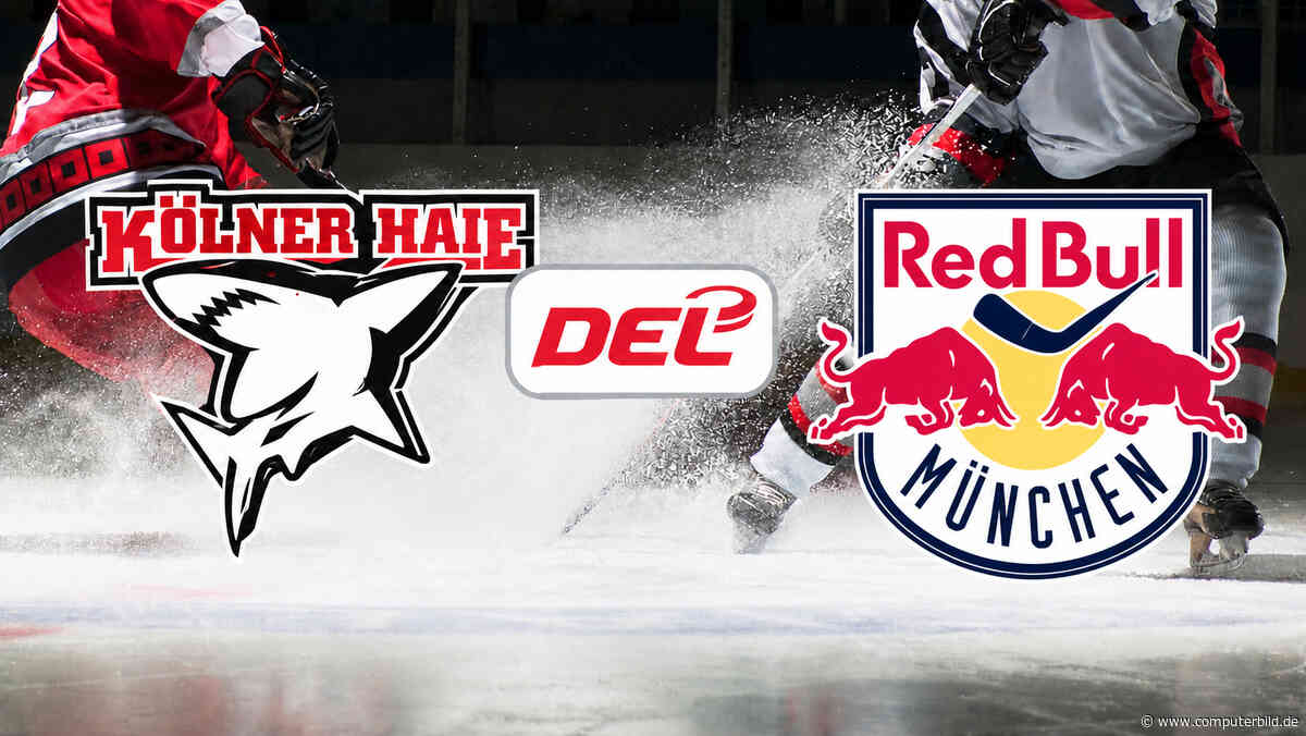 Kölner Haie gegen EHC Red Bull München: DEL – Eishockey live und gratis sehen?