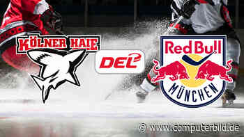 Kölner Haie gegen EHC Red Bull München: DEL – Eishockey live und gratis sehen?