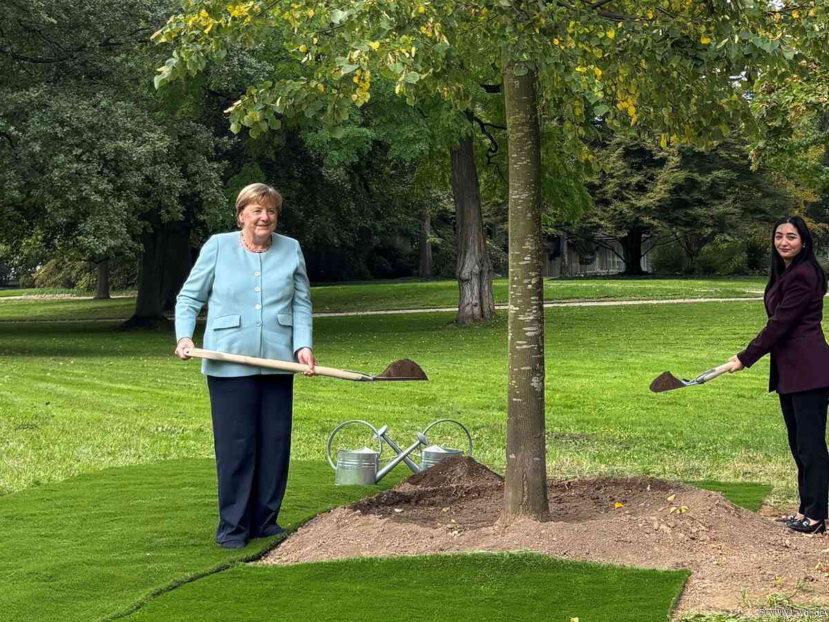 Merkel pflanzt Winterlinde auf Bonner Kanzlerwiese