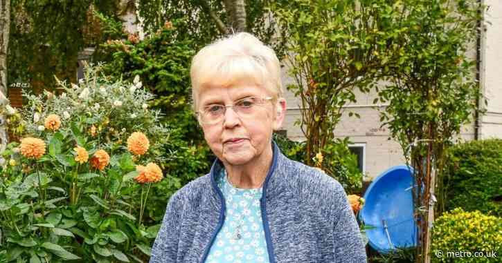 Neighbour from hell convicted of flashing after tormenting OAP for 11 years