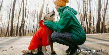 Is het zielig om je hond een jas aan te doen in de herfst als het regent?