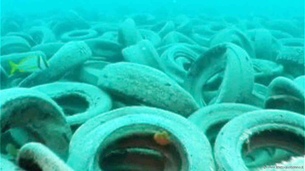 Un milione di pneumatici nei mari della Florida: così è naufragato il progetto ambientalista Osborne Reef