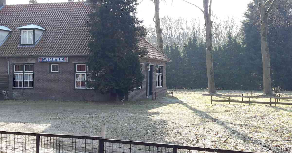 Personeelscafé Efteling sluit definitief: ‘Het gebouw is simpelweg op’