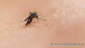 Eerst GMO-muggen van Gates, nu dengue-noodtoestand in Florida