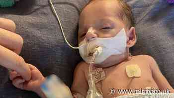 Newborn baby fighting for life after being kissed by excited visitor as mum issues deadly warning