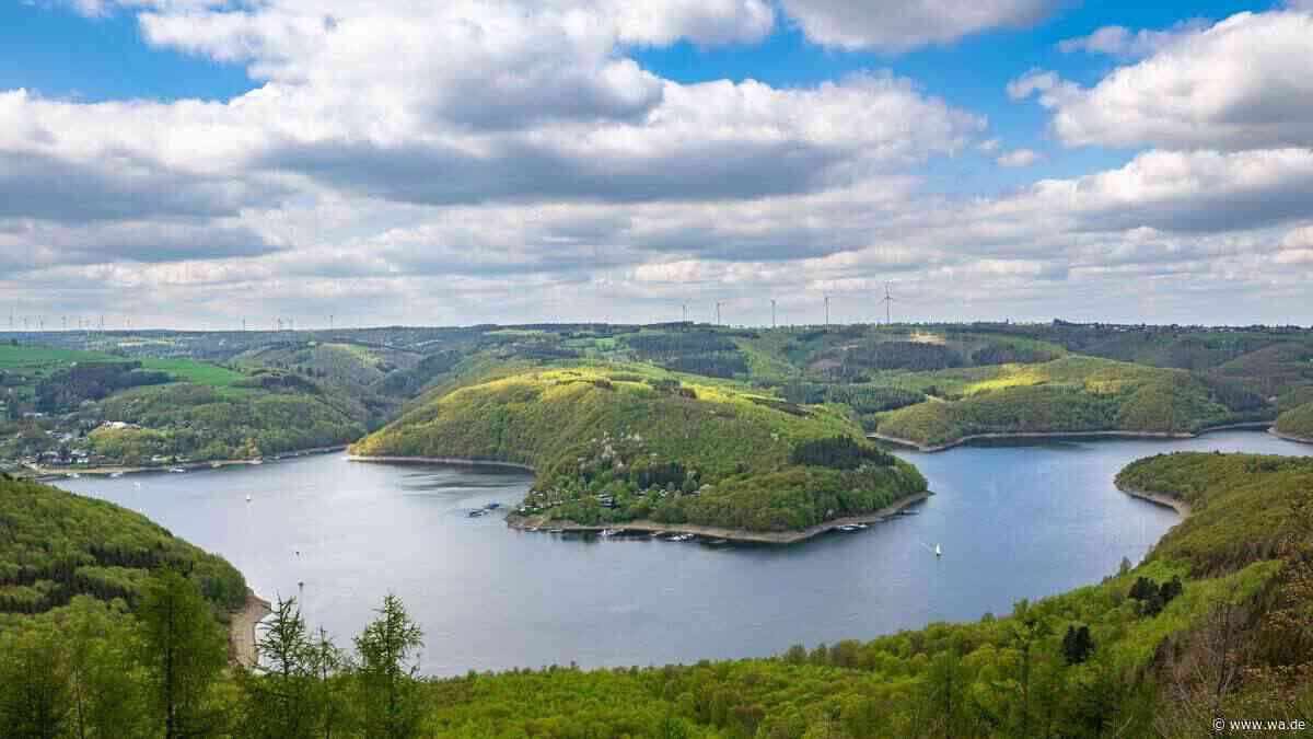 3 Wandertipps für warme Herbsttage in NRW, mit der Vielfalt der Pflanzen und Tiere