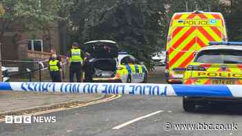Fatal explosion a 'household accident', police say