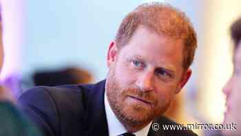 Prince Harry’s travel company hit with major blow after diving more than £13,000 into the red