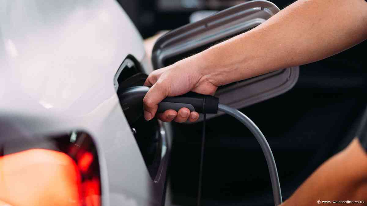 'I've been monitoring fuel prices for 16 years - here's why I won't buy an EV'