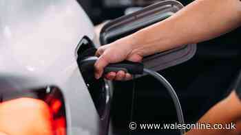'I've been monitoring fuel prices for 16 years - here's why I won't buy an EV'