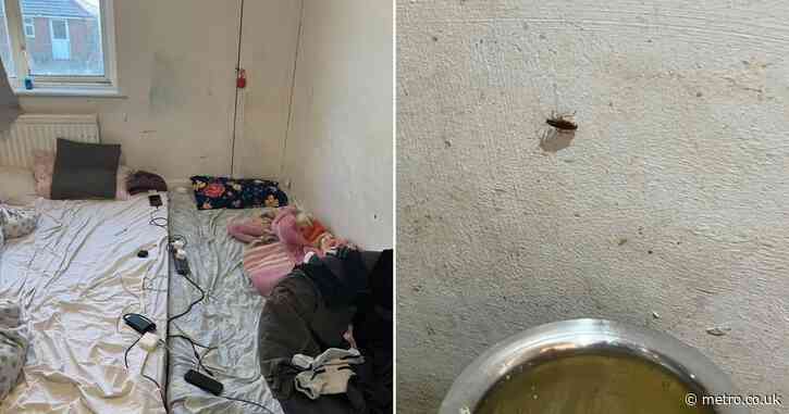Rogue landlord pair fined after 21 people crammed into house overrun by cockroaches