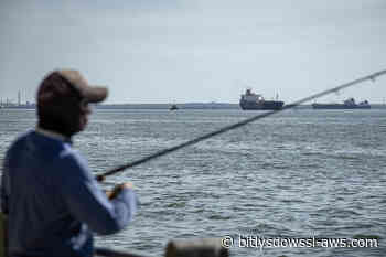 Petroleras muestran disposición a invertir en Venezuela pese a los desafíos operativos