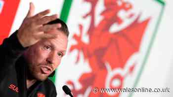 Craig Bellamy dismisses Man City plight as he makes Erling Haaland prediction