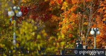 The ‘Super El Nino’ is upon us. What does that mean for Ontario’s fall colours?