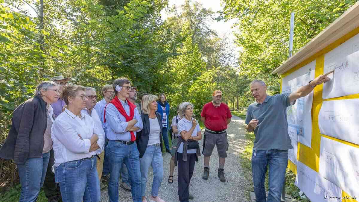 Würm in Gauting: Altes Wehr soll verschwinden – Fischen den Weg freimachen
