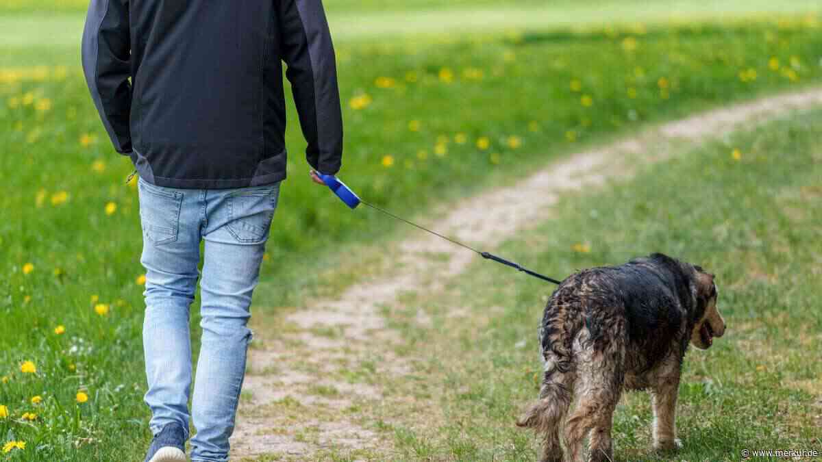 Bichl zieht die Leine an: Neue Hunderegeln, bis zu 1000 Euro Buße