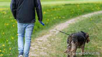 Bichl zieht die Leine an: Neue Hunderegeln, bis zu 1000 Euro Buße