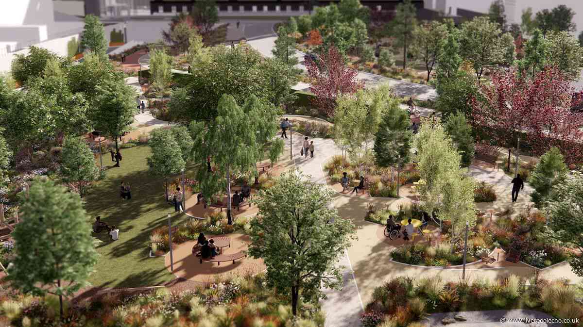 New park set for Liverpool city centre with 163 trees, wildflower meadows and play areas