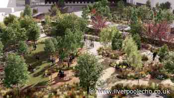 New park set for Liverpool city centre with 163 trees, wildflower meadows and play areas
