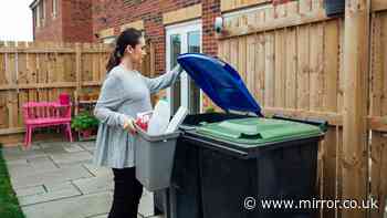 Binman says never put common item in recycling - 'easy mistake to make'