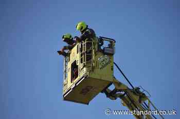 Fire crews attend record number of pet rescues