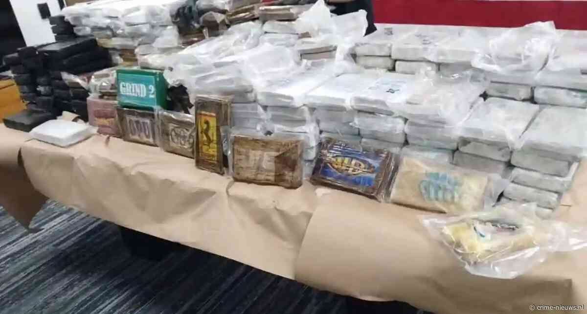 Drugshond ontdekt voor miljoenen aan blokken cocaïne in vrachtwagen op snelweg