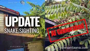 Santa Ana Police debunk AI‑generated snake photo after false backyard report