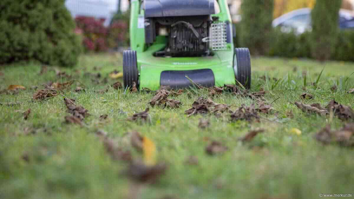 Rasenpflege im Herbst: Wann Sie mähen, düngen und säen sollten – Experten klären auf