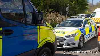 Two dead after horror crash between camper van and lorry in Somerset village