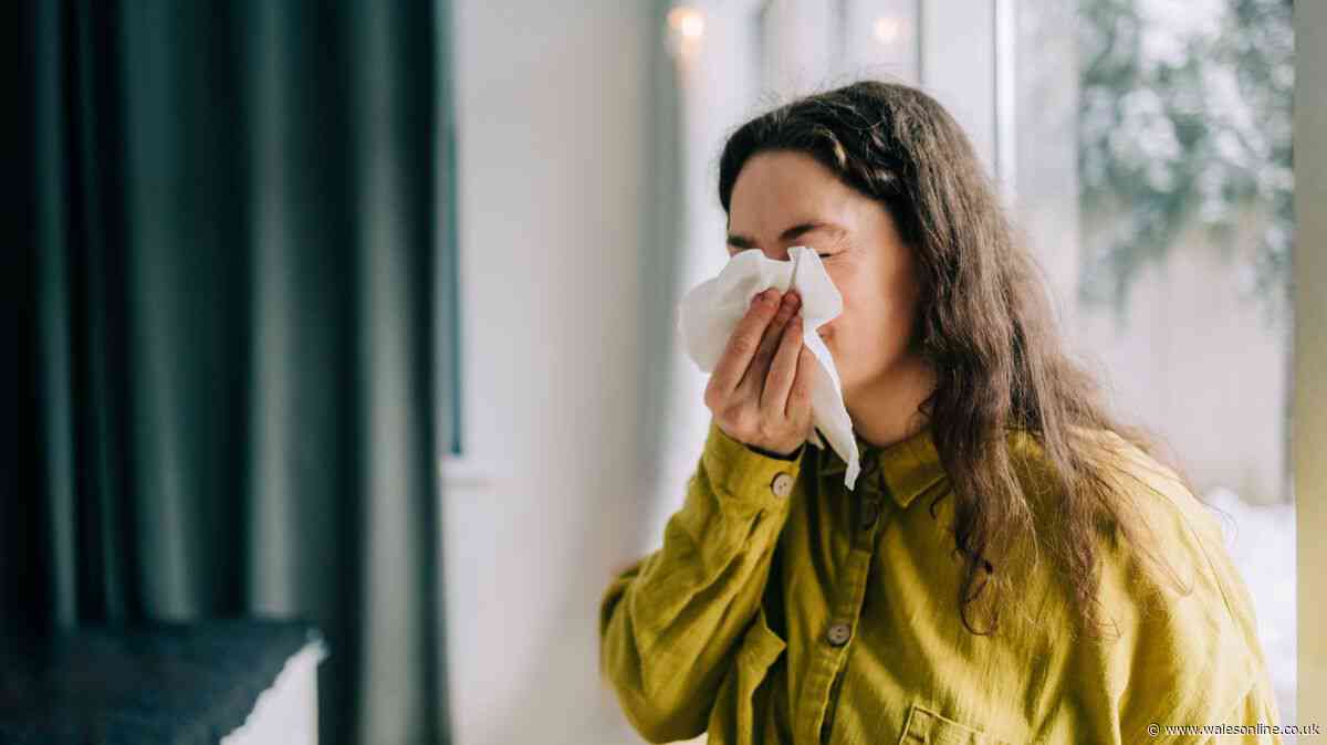 'I'm a doctor and 1 tip will reduce severity and duration of coughs and colds this winter'