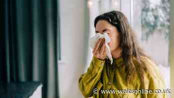 'I'm a doctor and 1 tip will reduce severity and duration of coughs and colds this winter'