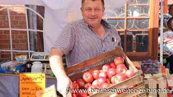 Käse-Fred, Bananen-Fred und 696 Liter Puffer-Teig: So tickt der Lafferder Markt