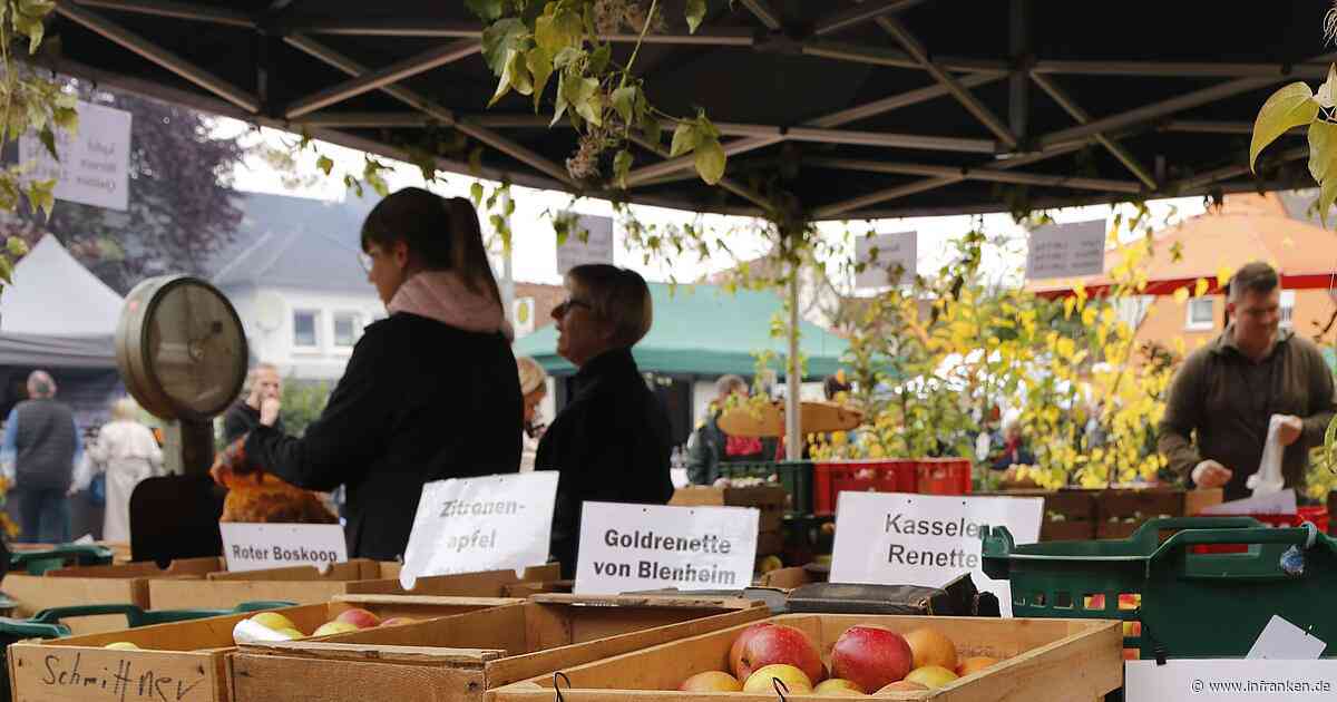Apfelmarkt in Schönbrunn: Traditionelles Handwerk und Köstlichkeiten