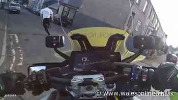 Man tries to sprint away from police motorbike in Swansea after crashing car into officer
