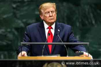 Trump's Own AI Turns on Him Seconds After Launch, Contradicting His Biggest Claims