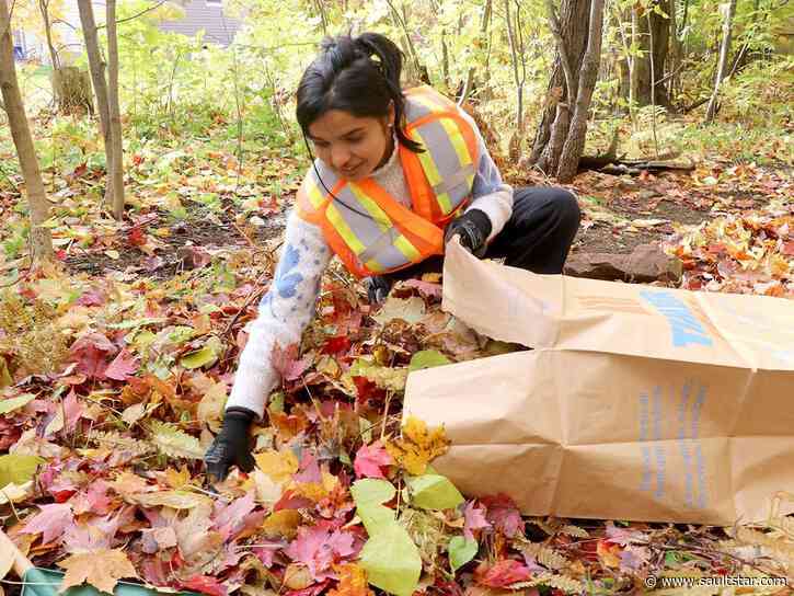 Free program helps Sault seniors prep homes for winter