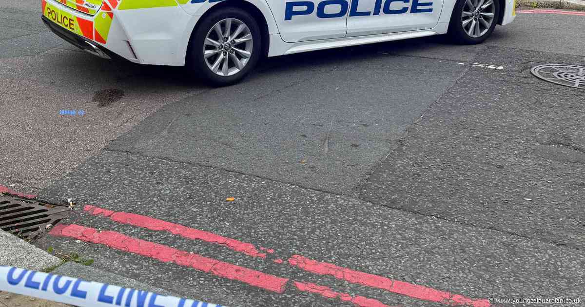 Croydon schools locked down after 'machete' reports as police hunt teenager