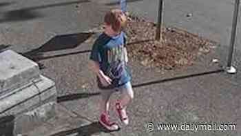 'Horror movie' moment autistic non-verbal boy, 5, wandered out of kindergarten and into traffic