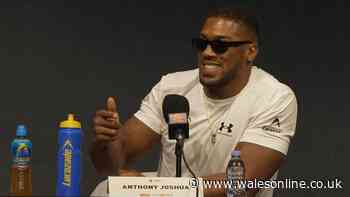 Anthony Joshua immediately halts Tyson Fury press conference and shows true colours