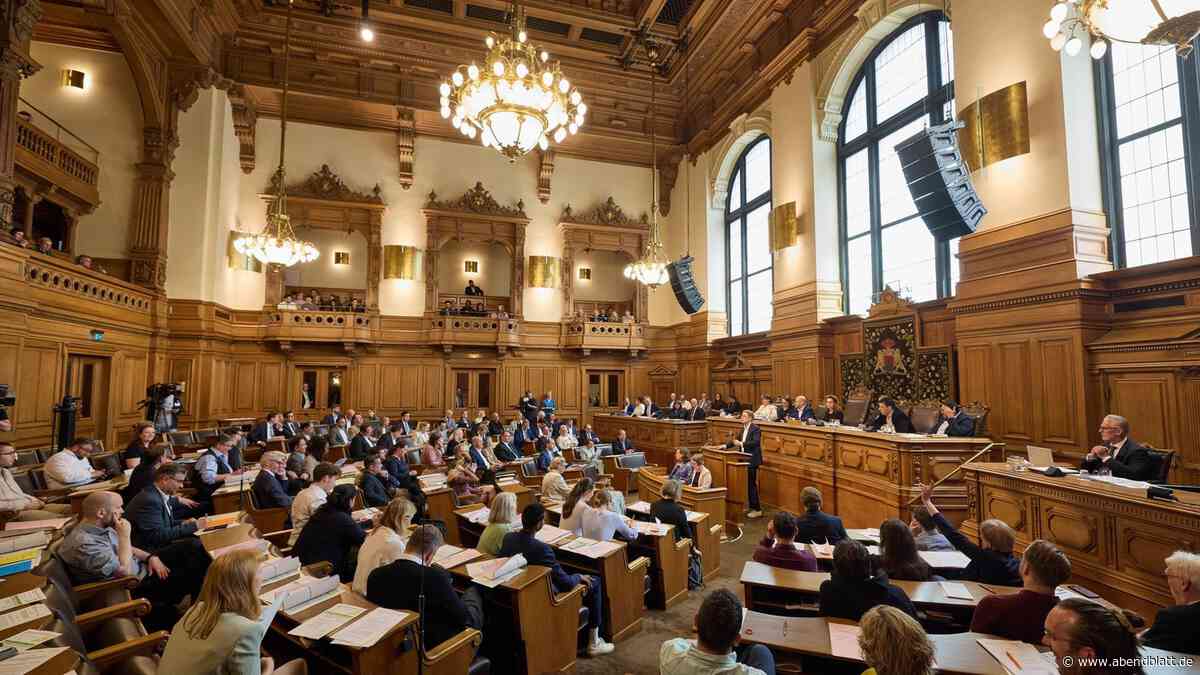 Hamburg geht Schritt(chen) in Richtung AfD‑Verbot: Bürgerschaft stimmt Antrag zu