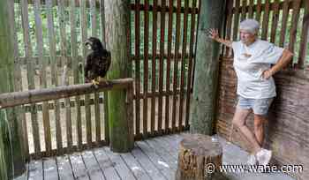 Crane soldier and Navy service member rescue injured bald eagle