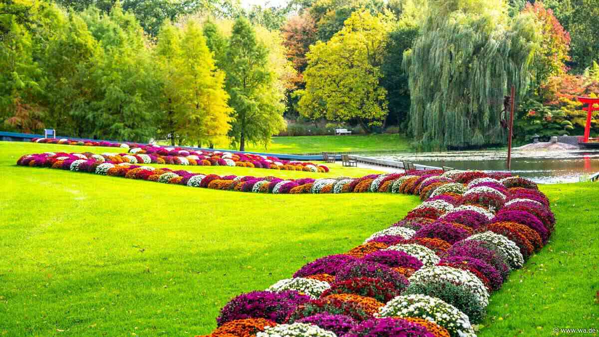 Einzigartige Gärten und ein Schloss – malerisches Ausflugsziel verzaubert Besucher im Herbst