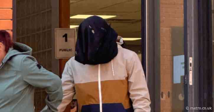 Teenager admits trying to have sex with Shetland pony named Cheeky
