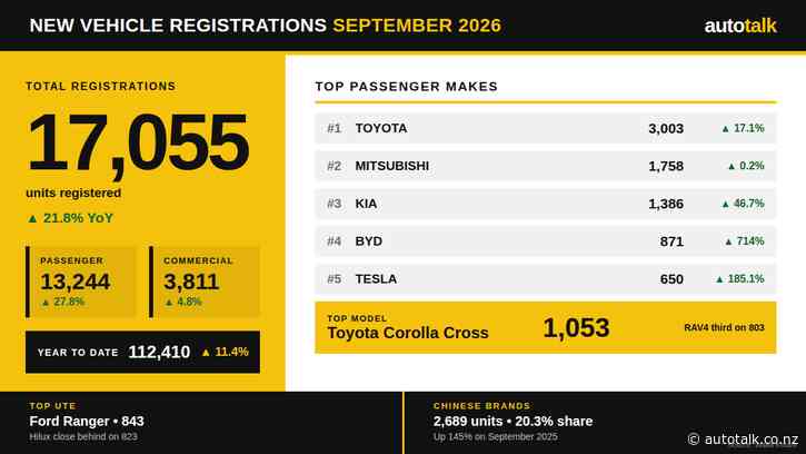 Rental fleets, BYD and Tesla push new passenger registrations to 13,244