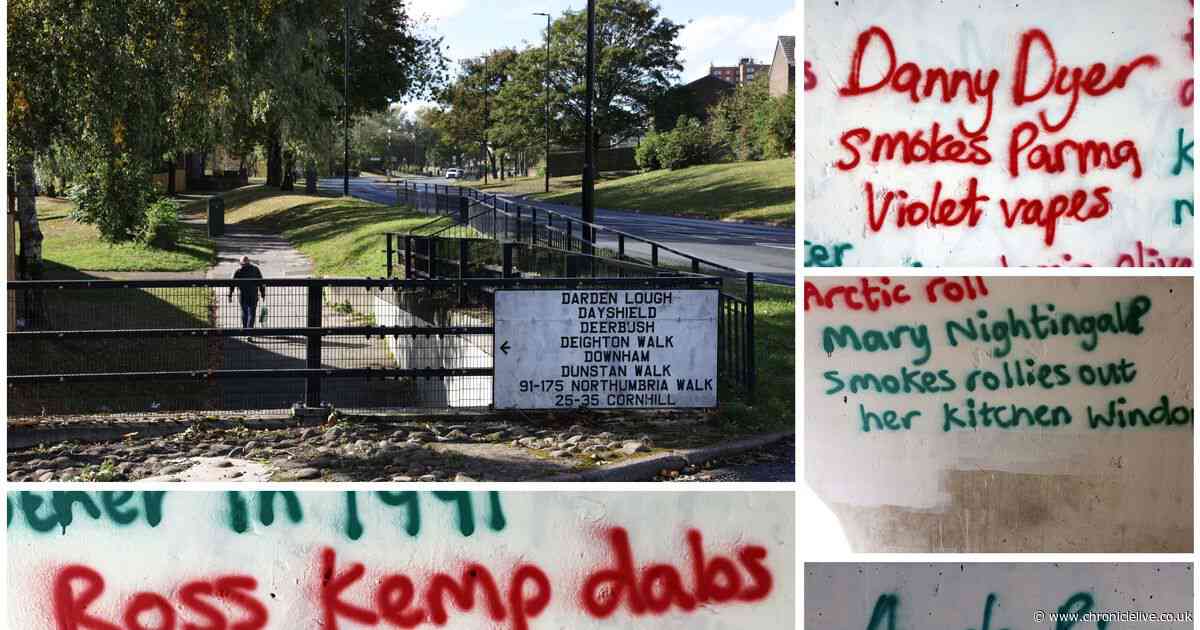 'Danny Dyer smokes Parma Violet vapes' - Celebs including Eastenders actor and Nigella targeted by bizarre graffiti in Newcastle