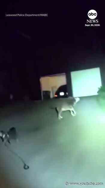Dog leads Kansas police officer to homeowner who needed medical help
