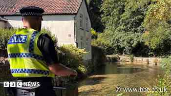 Police close to identifying youths attacking ducks