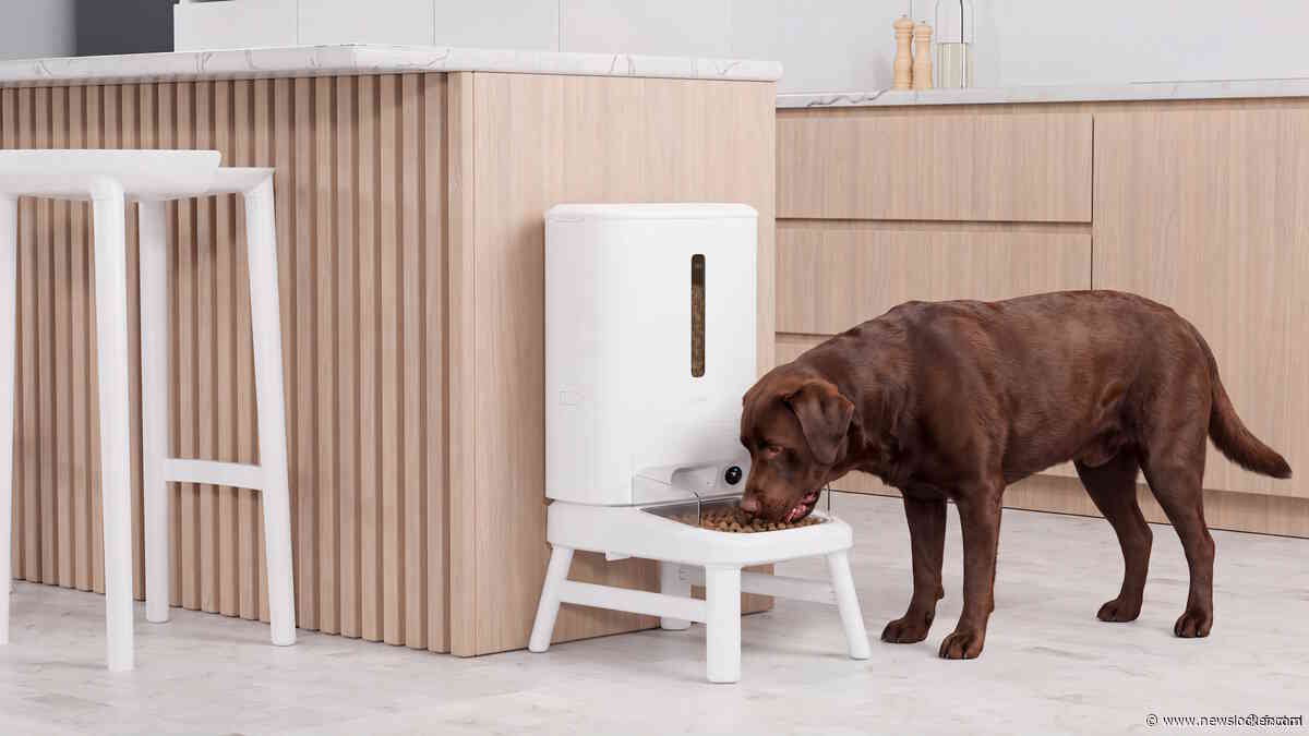 Slim voeren op afstand met nieuwe Hombli Smart Pet Feeder XL