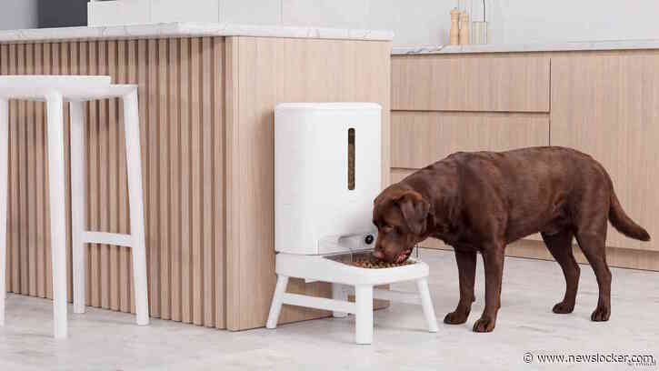 Slim voeren op afstand met nieuwe Hombli Smart Pet Feeder XL
