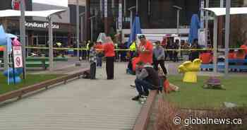 2 pedestrians killed at Tsawwassen Mills Mall in B.C. after driver suffers medical emergency